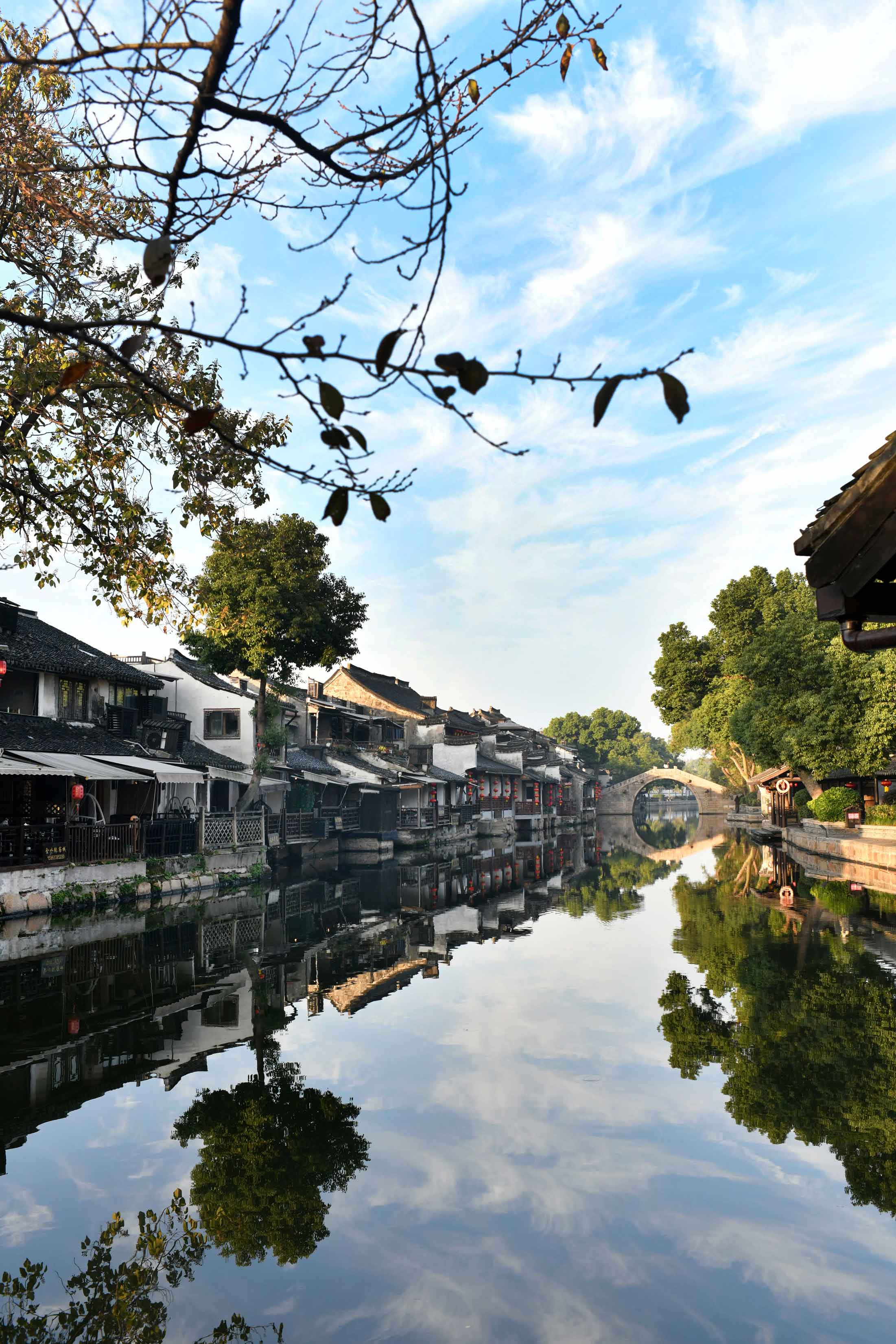 1763428017738201.jpg _DSC1084.jpg