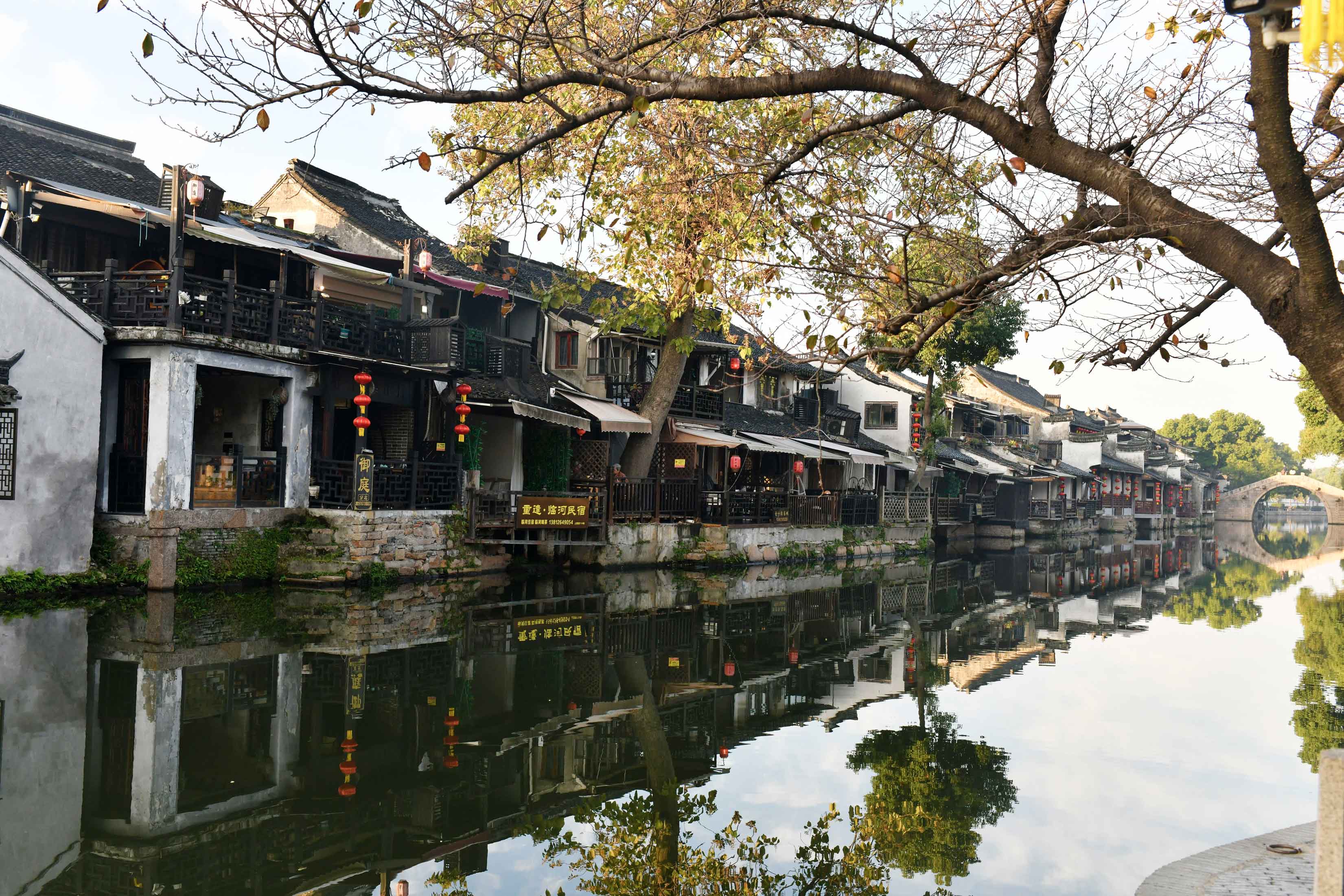 1763428066788125.jpg _DSC1082.jpg