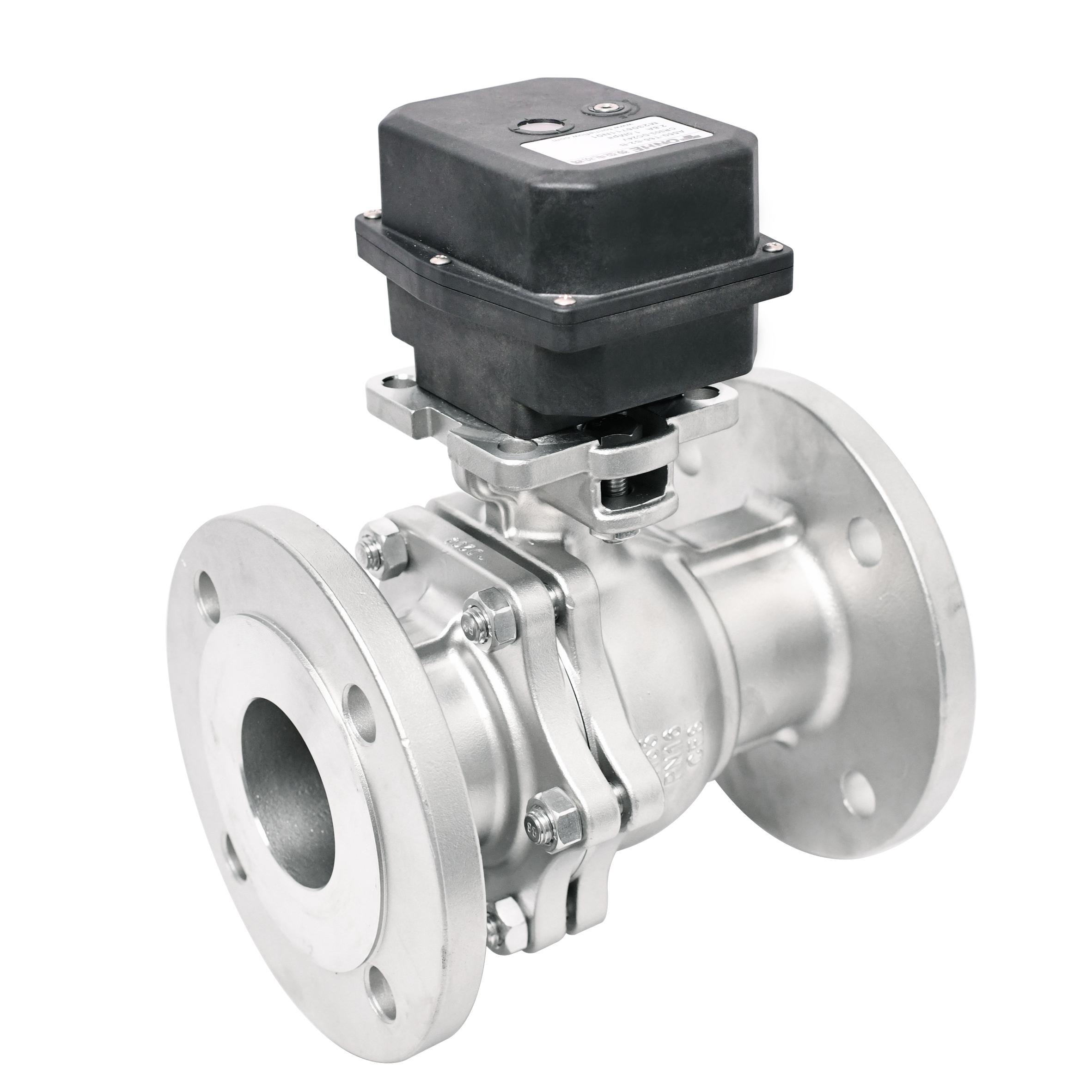 开关型-DN65 不锈钢两通法兰阀 